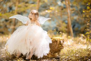 retirement income fairy